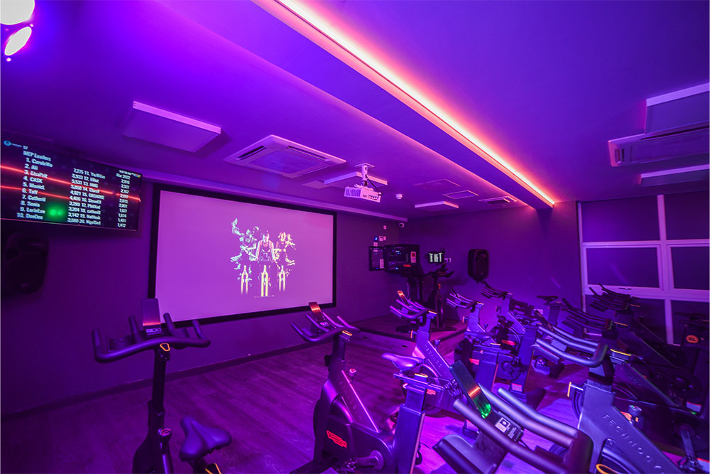 Spin Studio 3